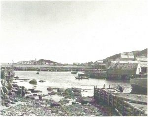 Hant's Harbour Historic Photo